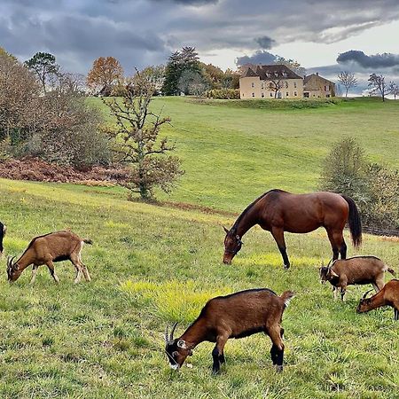 Domaine De Cazal - Chambres D'Hotes Avec Piscine Au Coeur De 26 Hectares De Nature Preservee Сен-Сіпріян Екстер'єр фото