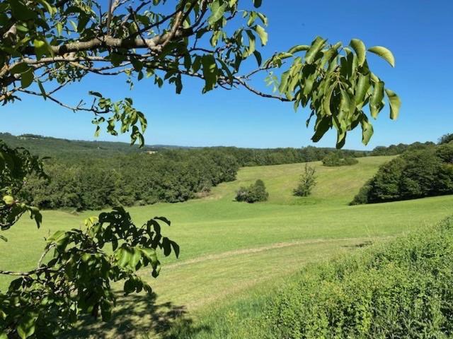 Domaine De Cazal - Chambres D'Hotes Avec Piscine Au Coeur De 26 Hectares De Nature Preservee Сен-Сіпріян Екстер'єр фото