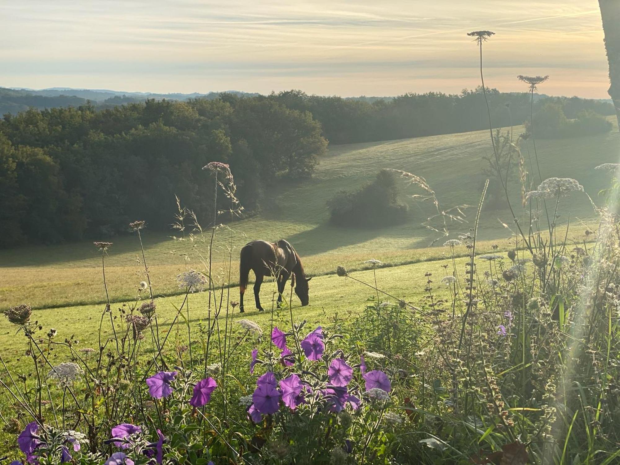 Domaine De Cazal - Chambres D'Hotes Avec Piscine Au Coeur De 26 Hectares De Nature Preservee Сен-Сіпріян Екстер'єр фото